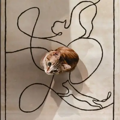 Dywan Cats Ivory Carpet Decor