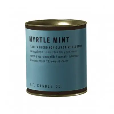 Kadzidełka stożkowe Myrtle Mint