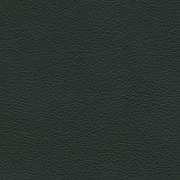Leather L20 Jade 59