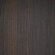 Shadow Eucalyptus