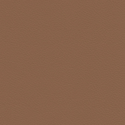 Leather L20 Camel 75