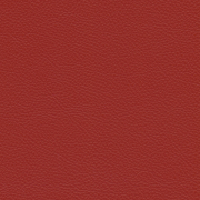 Leather L20 Red stone 22