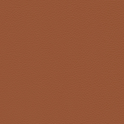 Leather L20 Cognac 97